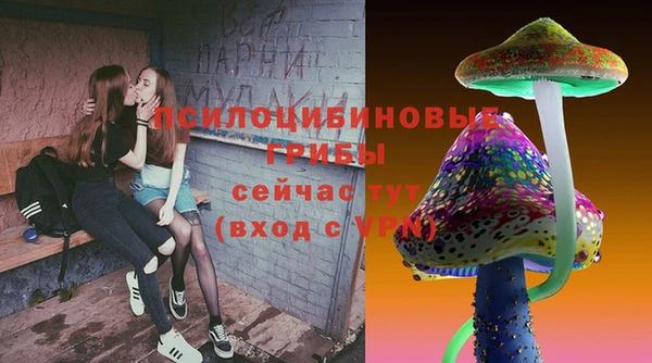 jwh Богородск