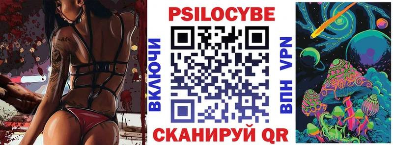 KRAKEN   Бологое  Галлюциногенные грибы Psilocybe 